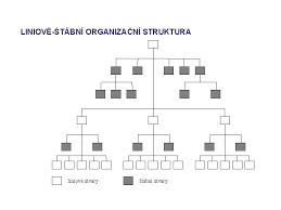 Čemu se říká organizační pyramida? Organizovn Osnova 1 Organizace A Trhy 2 Organizan