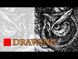 Cara Menggambar Burung Hantu Youtube Cara Menggambar Menggambar Dengan Pena Hantu