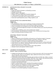 Industrial Project Manager Resume Samples Velvet Jobs