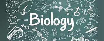 Biology of water and health from tufts ocw · 5. Best Free Online Biology Courses Freeeducator Com