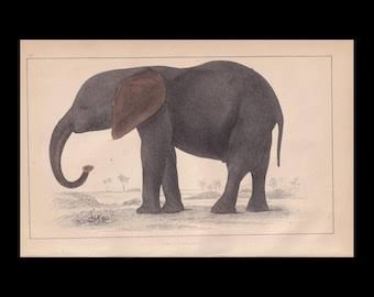 Antique Art Prints: 19th Century Engraving, India Elephant Fight Art by Selmar Hess - Etsy New Zealand