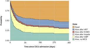 Image result for Yellow 1990 Thiele Inc