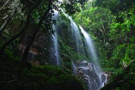 Have a bonfire under the stars and enjoy quality time with your friends or family in the peace of the park. Kooi Waterfall Royal Belum National Park Perak National Parks State Parks Malaysia Truly Asia