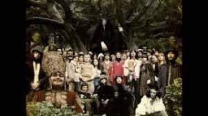 What's going on in the forest? Korean Dogwood Von Devendra Banhart Laut De Song