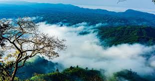 Check out this fantastic collection of bangladesh nature wallpapers, with 46 bangladesh nature background images for your desktop, phone or tablet. Bengali Forests Towards More Nature Protection European Forest Institute