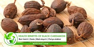 Tb3fwqd5mlogxm Moushi, english, बड़ी माँ, badi beti, bdi sister, badi sistern, elder mother. https www moolihai com health benefits and uses of black cardamom