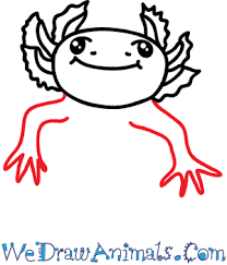 Let's have fun with cool cartoon drawings! How To Draw A Cartoon Axolotl