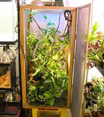 #happybirthday #zoomedreptibreeze #pantherchameleons #chameleoncages #cagemodifications #diy #kripke&friendsgear if you enjoyed my work, please consider. 14 Homemade Chameleon Cage Ideas You Can Diy Easily