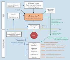 Ubelkeit Und Erbrechen Als Symptome In Der Notfallmedizin Springerlink