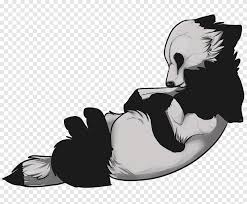 White wolf boy vs black wolf boy moon full fight video songs. Dog Puppy Cat Canidae Arctic Wolf Yuki Cross Anime Mammal Cat Like Mammal Png Pngegg