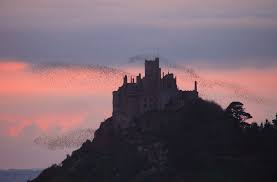 Enjoy a great day out for all the family in cornwall this spring and summer at caerhays estate. Top 10 Castles Cornwall Guide