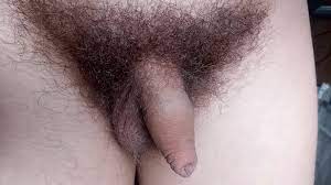 Penis wird rasiert