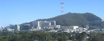 Check spelling or type a new query. Mount Sutro Wikipedia