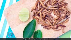 Agriculture has come a long way in the past century. The Future Of Food Can Lab Grown Insect Meat Be A Future Food Ndtv Food