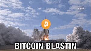 See more of memes gifs on facebook. Bitcoin Meme Gif By Crypto Gif Find Share On Giphy