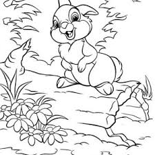 Bambi is one of my favourite cartoon of all time, so i decided to teach you how to draw and then colour bambi and his cute little friend thumper. Bambi With Thumper In The Forest Coloring Page Free Coloring Library