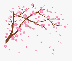 Purple verbena art cherry blossom picture room decor art spring flower tree branch canvas print painting artwork photo home wall art decor for living room bedroom kitchen 12x16 picture frame. Cherry Tree Branch Clipart Cherry Blossom Drawing Png Free Transparent Clipart Clipartkey