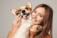 Sharing Is Caring: Find Out What Thanksgiving Foods Are Safe To Share With  Your Pup This Year