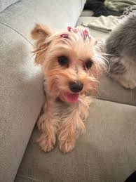 Comment your Bday with one of your Christmas selfies