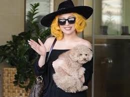 In 2018, she starred in a star is born and released a soundtrack album. Lady Gaga Mitsamt Hund In Wien Gelandet Musik National Vienna At