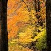 Sturbridge Village pictures Massachusetts from www.pinterest.com