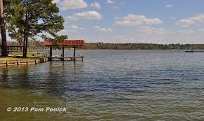 Birds Of East Texas Piney Woods Lake Livingston I Presume Birding And Boating In The East Texas Pineywoods Lake Livingston Boat