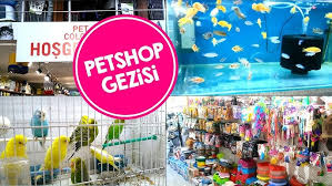 Eminonu Petshop Gezisi Youtube