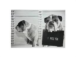 Bulldog Mugshot I Miss You Card Just Because Birthday I Miss You Card Miss You Cards Bulldog