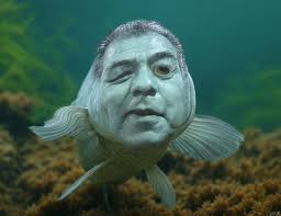 Julio Zermeno (@JulioZerme92387)