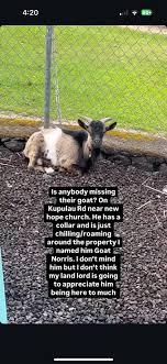 Hi everyone I'm trying to get rid of an ant problem