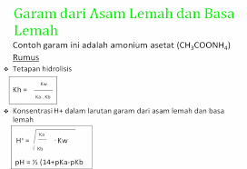 Salah satu contoh proses hidrolisis adalah pembentukan garam. Hidrolisis Garam Inovasikimia