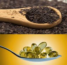 Seaweed and Omega-3 Fatty Acids – Maine Coast Sea Vegetables