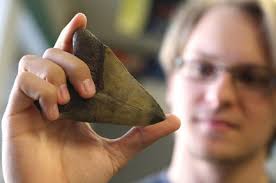 Repeat wins for Grand Haven Area Public Schools Science Olympiad teams