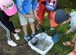 Photo Atelier : Stage atelier a Belleville en Beaujolais