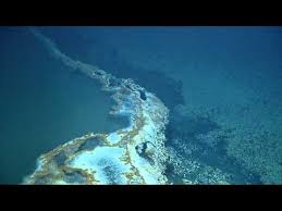 Discovering A Brine Pool Nautilus Live Youtube Water Pool Science And Nature