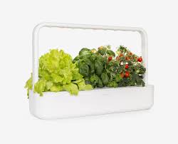 The founders of the project realized that most people don't grow their own food because of financial a zany video demonstrating how to build the raised bed, along with a wealth of other gardening resources, can be found at the food is free project website. 15 Best Indoor Garden Kits 2021 The Strategist