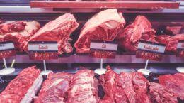 We did not find results for: Mai Buttare La Carne Se Diventa Scura Ecco Come Capire Se E Andata A Male Oppure No Proiezioni Di Borsa