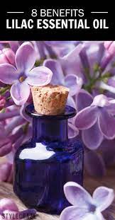 8 Amazing Benefits Of Lilac Essential Oil Lilac Essential Oil Herbal Essential Oils Essential Oils For Babies