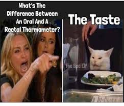 Pin By Nicole Yingling On White Cat Memes In 2020 Karen Memes Humor Funny Relatable Memes