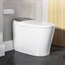 Big wash volume bidet seat from www.homedepot.com