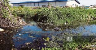 Kaedah survei yang digunakan dalam kajian ini melibatkan sebanyak 100 orang responden kajian yang dipilih secara rawak daripada dua kawasan. Maksud Sisa Pepejal Dan Sisa Cecair