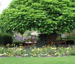 Pin Auf Garten