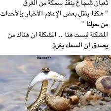 desertrose so true funny reaction pictures mood quotes reaction pictures