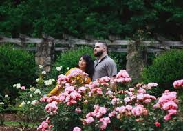 Colleen Ly and Kyle Stern's Wedding Website