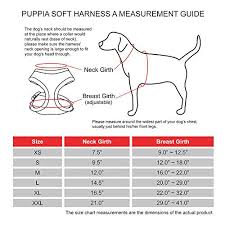 Puppia Soft Dog Harness Sky Blue Large