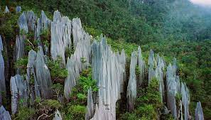 Sejarah sunting asalnya, jabatan ini bernama jabatan mergastua. Gunung Mulu Nationalpark Reisefuhrer Auf Wikivoyage