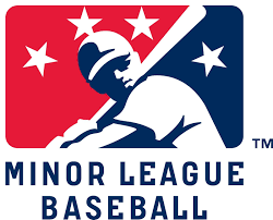 Minor League Baseball Dad Loved Minor League Baseball He Belonged To Our Local Hagerstown Suns Fan C Baseball Teams Logo Minor League Baseball Baseball Team