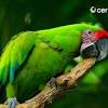 Top decu 2016 masteran decu kembang. Https Encrypted Tbn0 Gstatic Com Images Q Tbn And9gcslidgygpsy6so9p1hz9lqb3vbipoweadwmbgqcan371phf0 O0 Usqp Cau