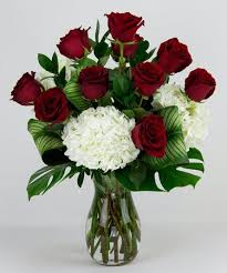 White hydrangea flowers are a classic wedding flower addition to all arrangements. One Dozen Premium Red Roses With White Hydrangea Radebaugh Florist Baltimore