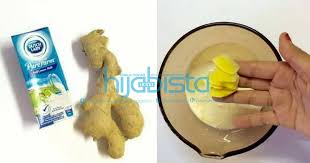 Jika sebelum ini ada ibu yang kongsi tip guna gula dan bawang sebagai petua menghilangkan batuk anak, kali ini ada ibu yang guna kentang pula! Hilangkan Sengal Lenguh Pada Badan Dengan Susu Buang Angin Memang Sedap Hijabista